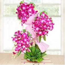 Lovely Orchids Tall Arrangement (90 Orchids)