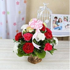 Mixed Carnations Basket (18 Flower)