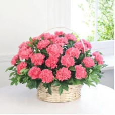 Pink Carnations Basket Large (50 Pink Carnations Basket)