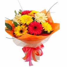 Mixed Gerbera Bouquet (24 Flower)