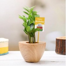 Happy ZZ Plant for Birthday Wishes