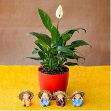 Pleasing Peace Lily with Cute Hay Hat Monks