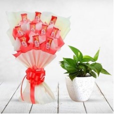 Kit Kat Bouquet and Money Plant