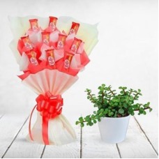 Chocolate Bouquet and Plant