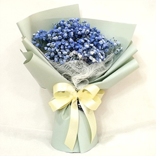 Purity French Blue (Normal)