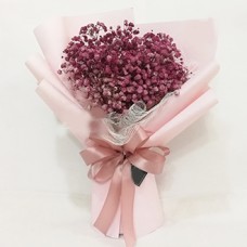 Purity Maroon (Normal)
