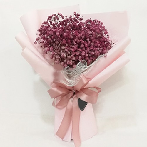 Purity Maroon (Normal)