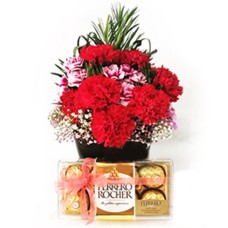 Elegance Carnations