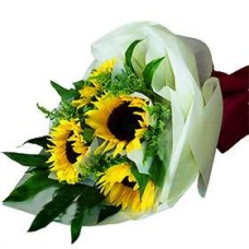 Fleur de Sun (Medium)