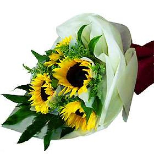 Fleur de Sun (Medium)
