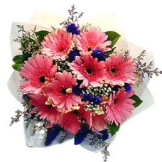 Gerberas Charm (Small)