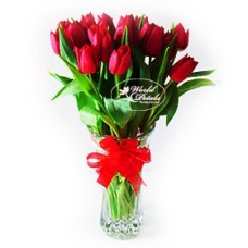 Spring Tulips (Normal)