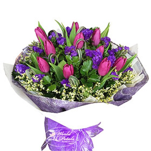 Joyous Purple (Normal)