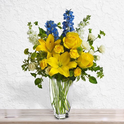 French Blue Sunshine (Small)