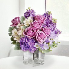 Blushing Beauty (Small)