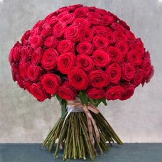 100 Premium American Roses