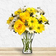 Joyous Sunshine (Medium) Joyous Sunshine (Medium)