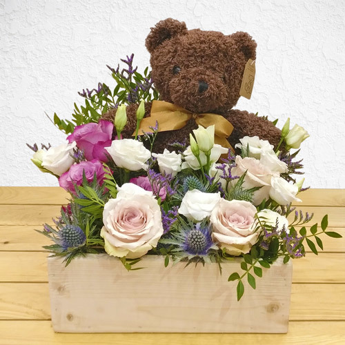 Teddy In A Forest (Small)