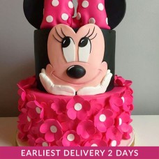 Minnie Mouse Birthday Cake Minnie Mouse Birthday Cake