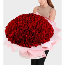 300 Red Roses