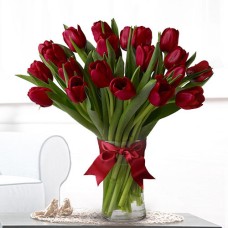 Tulipa Kiss (Medium)