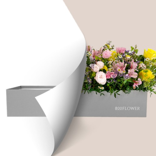 Flower Box Refill (Florist Choice)