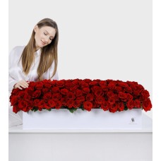 We Belong Together Box (120 Large Blooms)