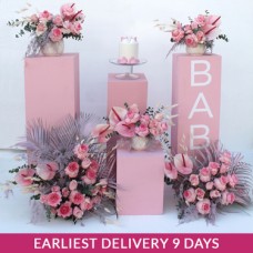 Hospital | Baby Shower Setup Rosy