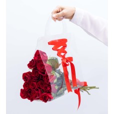 Scarlet Red Bag