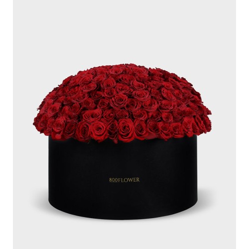 My Queen Box Arrangement (220 Premium Blooms)