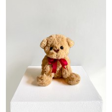 Brown Teddy Bear