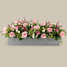 Jardin De La Reine Box