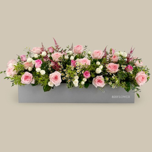Jardin De La Reine Box