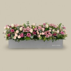 Jardin Du Roi Box