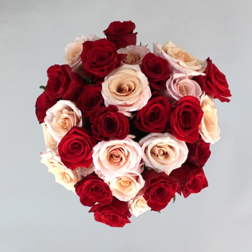 Forever Beautiful (Small)