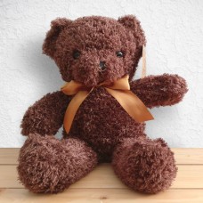 Huggable Teddy Bear