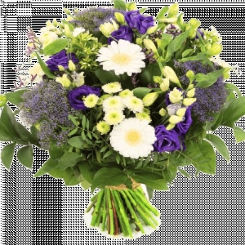 Bouquet Blue Purple White (Bouquet Blue - White Shades Medium)