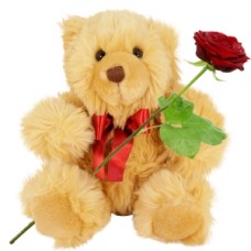 Cuddly bear ca.25cm Brown and woolly (Brown woolly teddy bear Harry 25cm + fresh red rose + 140 grams of chocolate flowers)
