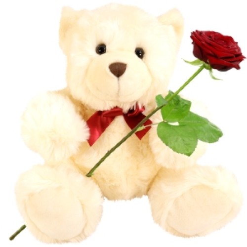 Large white teddy bear approx. 50cm + fresh rose (Large approx. 50cm white teddy bear Harry)