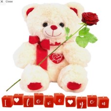 White hug + I love you candles (White i love you hug with embroidered heart + I love you candles + fresh red rose + 300 grams of handmade chocolates)