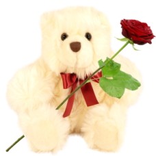 Teddy bear approx.25cm White and woolly (White woolly teddy bear Harry 25cm + fresh red rose + 140 grams of chocolate flowers)