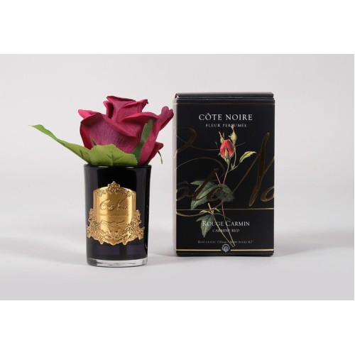 Cote Noire Perfumed Rose Buds
