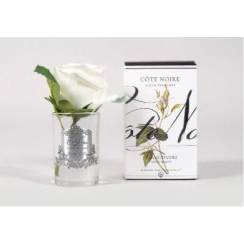 Cote Noire Single Perfumed Rose