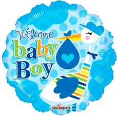Baby stork boy