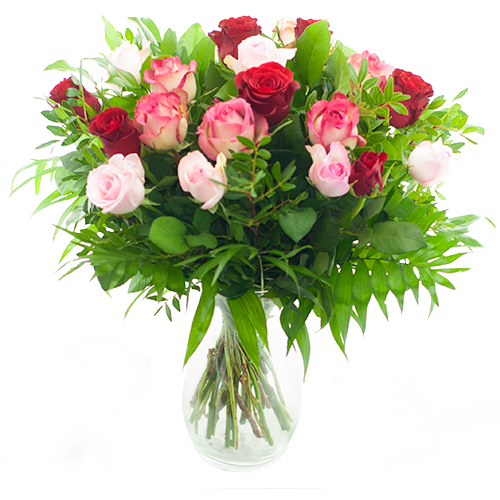 Mother's Day bouquet of red/pink roses (Standard (S))