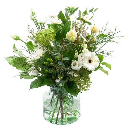 Spring white (Standard (S))