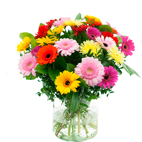Mother's Day bouquet of mixed gerberas (Standard (S))