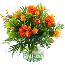 Orange spring flowers (Standard (S))