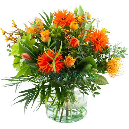 Orange spring flowers (Standard (S))