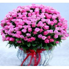 Pink Dream